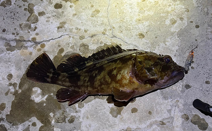 「満月の夜は釣れない」は本当か？　狙う場所・レンジ・魚種次第で釣れる！