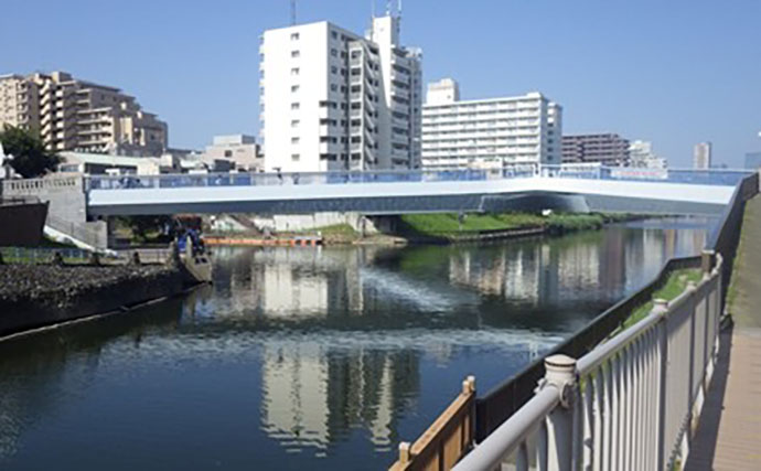 東京23区でハゼ釣りシーズンが開幕！ デキハゼ5～10cmが52匹とスタートダッシュに成功