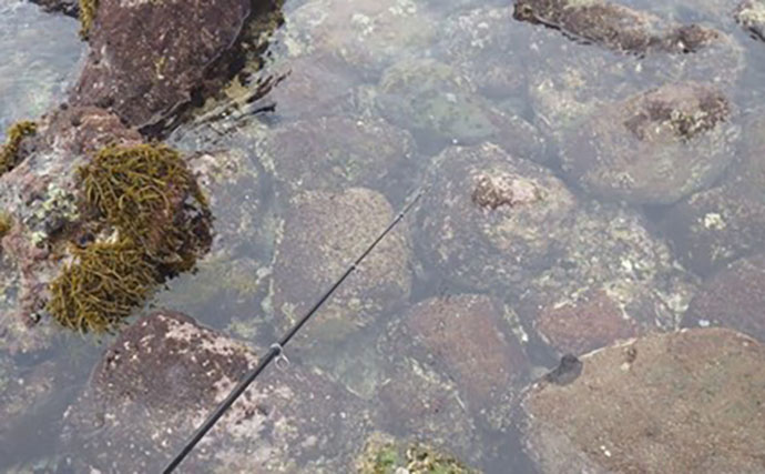 日本最古の人工島は根魚パラダイスだった【和賀江島・鎌倉】穴釣りでギンポを狙う！
