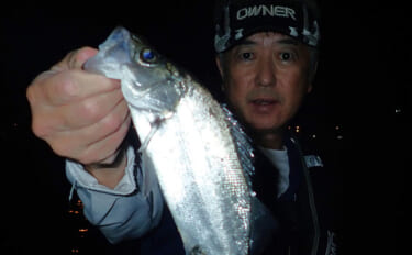 夜の堤防釣りでヒラ・サッパ・セイゴを手中【松合新港・熊本】サビキと電気…
