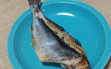 釣った魚で作る「ご飯のお供」レシピ：イサキの田楽風　山椒をアクセントに