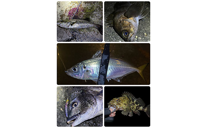 釣り人は釣れた日よりも釣れなかった日の方がよく覚えている？ ボウズにも物語あり
