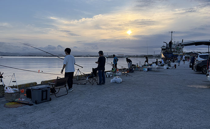 館山エリアの堤防でソウダガツオ5匹キャッチ！【千葉】今期の魚は一筋縄ではいかない？
