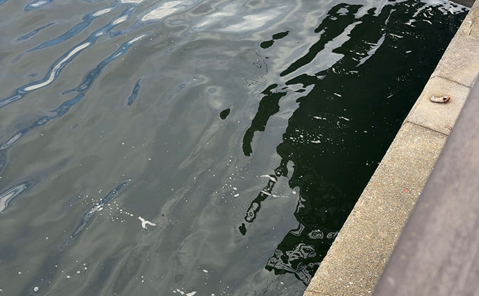 「釣りに遠投は不要」 岸壁際50cm以内の【キワ撃ち】だけでも釣りは成立する！