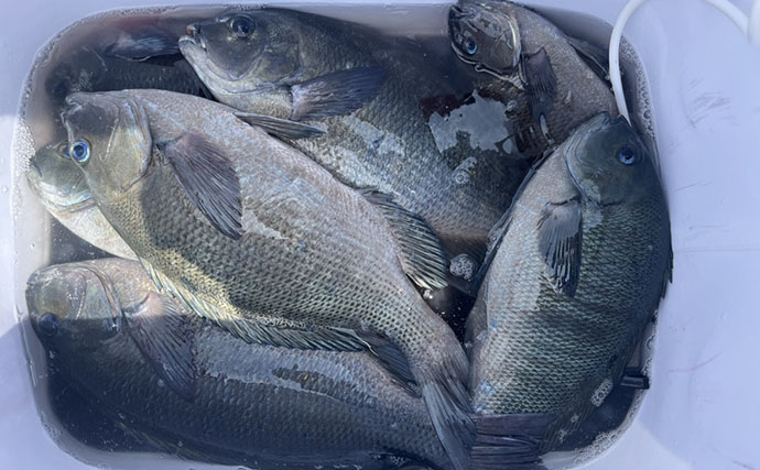 磯フカセ釣りで良型クロの入れ食いを堪能！ 特級磯では49cmも登場【大分県・鶴見の磯】