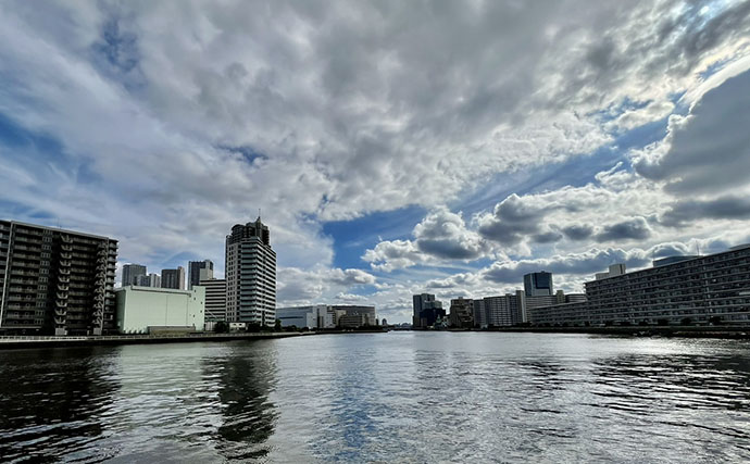 東京出張のお供にクロダイ落とし込み釣りと深川めしが最高！　運河のデカチヌを狙ってみた