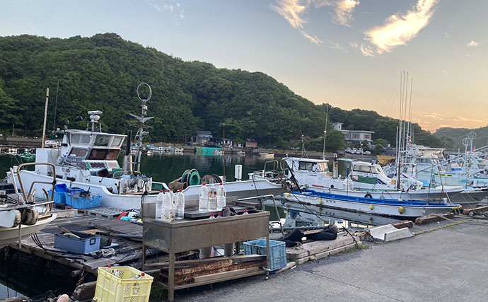 的矢湾沖のタテ釣りでメジロ4匹にヒラメ登場【三重】初夏らしい好反応に満足！