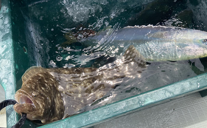 的矢湾沖のタテ釣りでメジロ4匹にヒラメ登場【三重】初夏らしい好反応に満足！