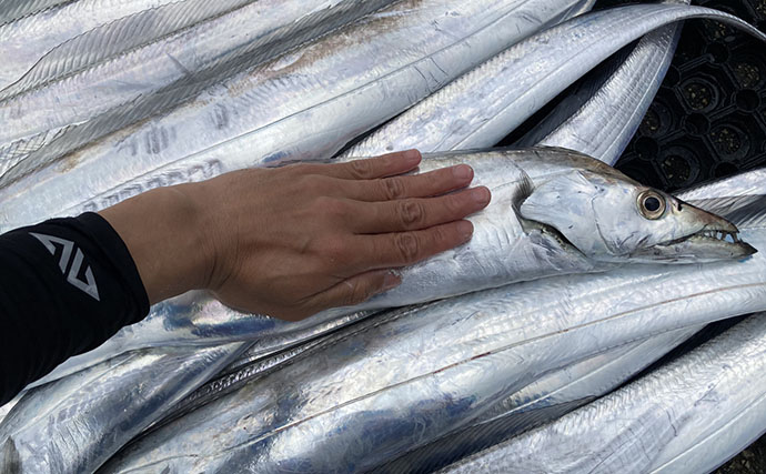 伊良湖水道テンヤタチウオ釣りで指5.5本クラスを筆頭に本命16匹キャッチ【海栄丸】