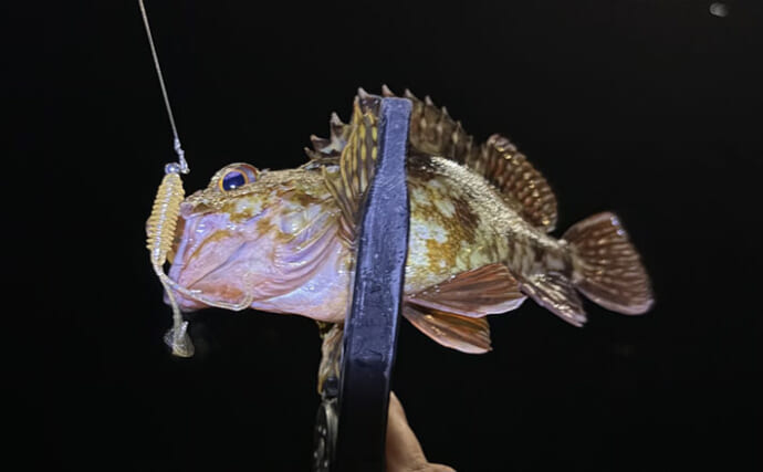 釣れない時間の過ごし方で釣果に差が出る！ 「情報を集める時間」と捉えよう
