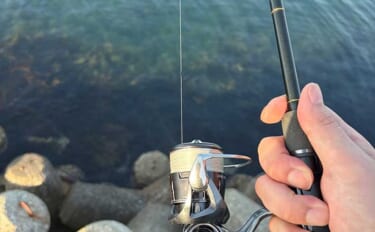 陸っぱりルアーフィッシングは「1投目」が超重要　釣れる期待度が最も高い…