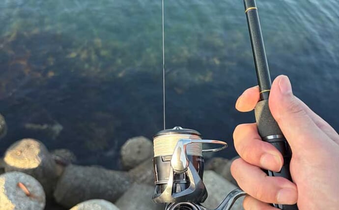 陸っぱりルアーフィッシングは「1投目」が超重要　釣れる期待度が最も高いのも「1投目」！