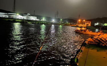 「満月の夜は釣れない」は本当か？　狙う場所・レンジ・魚種次第で釣れる！