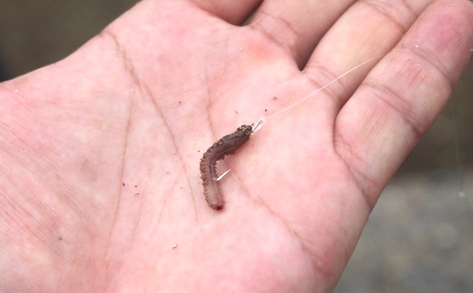 釣りができるキャンプ場は本当に魚釣れる？ 釣りのプロが実釣検証＆キャンプ飯も満喫