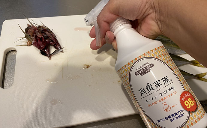 館山エリアの堤防でソウダガツオ5匹キャッチ！【千葉】今期の魚は一筋縄ではいかない？