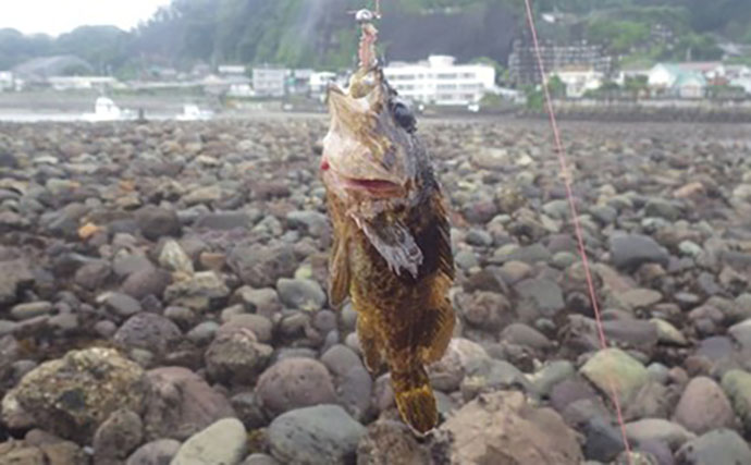 日本最古の人工島は根魚パラダイスだった【和賀江島・鎌倉】穴釣りでギンポを狙う！