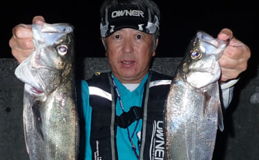 三角港の電気ウキ釣りでヒラスズキにマルスズキが好反応【熊本】今年は魚影…