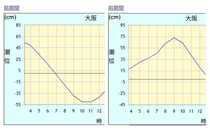 岸和田沖一文字の落とし込み釣りで43cmチヌをキャッチ！ 上り潮狙いが的中か