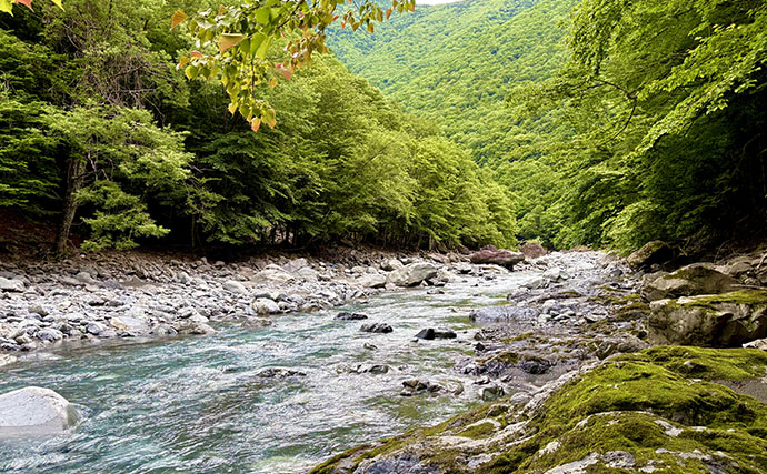 YouTubeで憧れた【山岳渓流釣りの世界】へ飛び込もう　デビューにオススメの「椹島」を紹介！