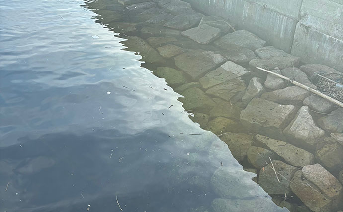 釣れる釣り場には特有の匂いと気配がある？　釣り人の経験に基づく感覚を言語化