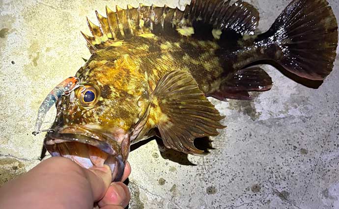 陸っぱりルアーフィッシングは「1投目」が超重要　釣れる期待度が最も高いのも「1投目」！