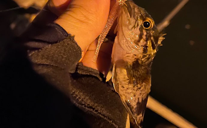 釣れる釣り場には特有の匂いと気配がある？　釣り人の経験に基づく感覚を言語化