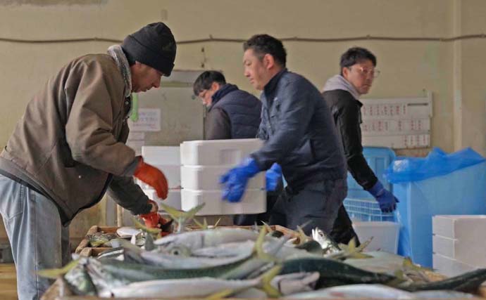 釣人憧れの対馬がもっと近くなる！ 上対馬漁協が始めた「海業」とアングラー受け入れ最前線を取材