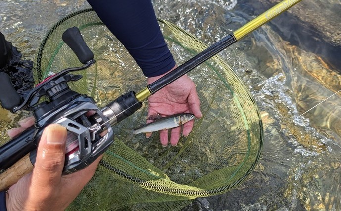 アユルアー釣行で40匹の爆釣！【滋賀】 好釣果を支えたロングロッドの威力とは？