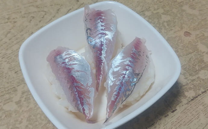 釣魚で作る「寿司」レシピ：豆アジのにぎり寿し　15cm前後のサイズが最適