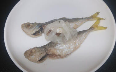 釣った「小魚」レシピ：小アジの酢漬け　調味料は酢と砂糖だけ