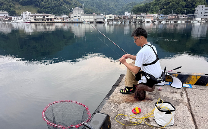 のべ竿一本で堤防釣りを満喫【安良里漁港】メジナにアジなど10魚種をキャッチ