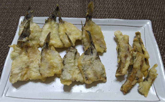 鶴見川のハゼ釣りで14cm良型ウロハゼ手中！【横浜】キモは「大きめのエサ」