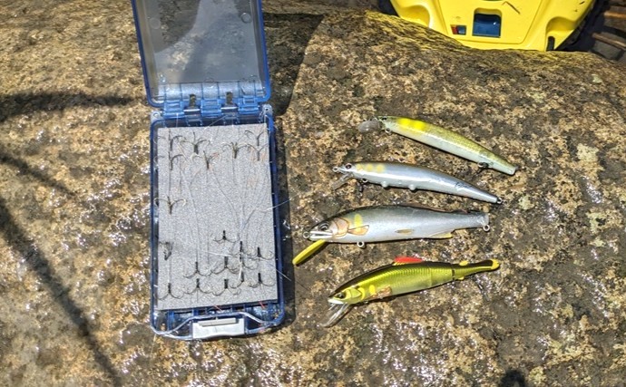 アユルアー釣行で40匹の爆釣！【滋賀】 好釣果を支えたロングロッドの威力とは？