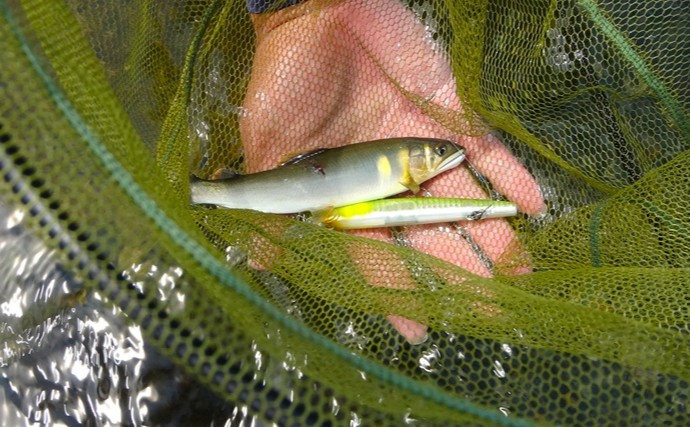 アユルアー釣行で40匹の爆釣！【滋賀】 好釣果を支えたロングロッドの威力とは？