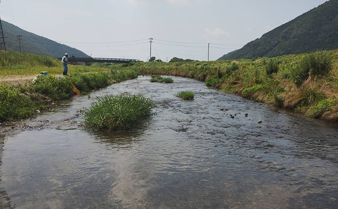 塩津大川で小アユ釣り堪能【滋賀】群れ発見すればヒット継続