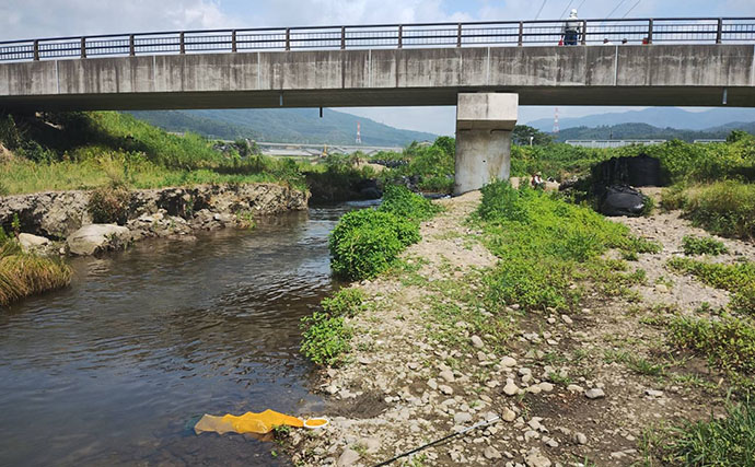 塩津大川で小アユ釣り堪能【滋賀】群れ発見すればヒット継続