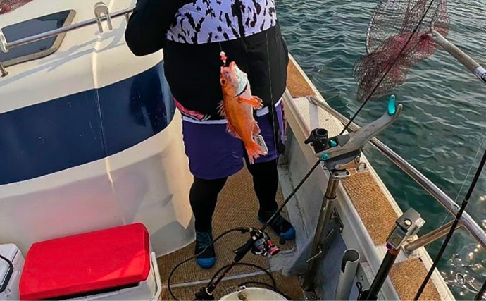 アカムツジギングにあえて「スピニング」で挑戦【富山湾】 まさかの7匹キャッチに成功！