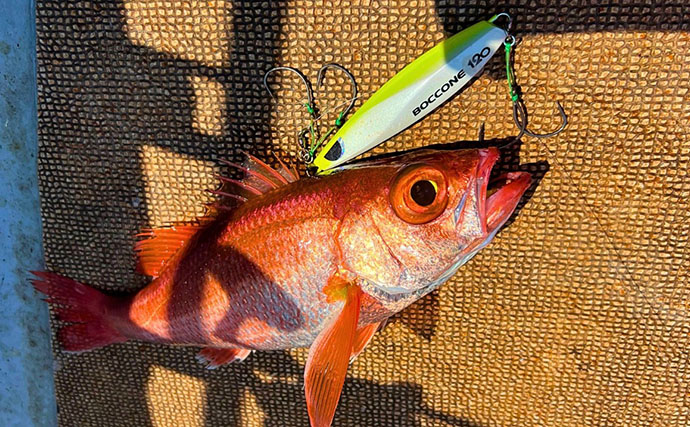 アカムツジギングにあえて「スピニング」で挑戦【富山湾】 まさかの7匹キャッチに成功！