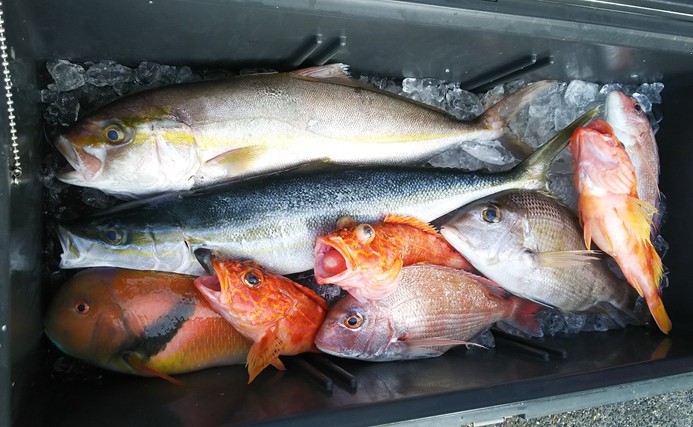夏に釣った魚は要注意！ 食中毒を防ぐために釣り場＆キッチンで実践したい衛生対策