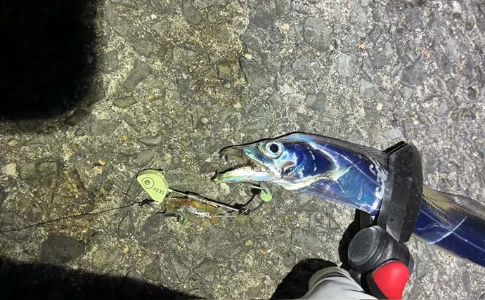 大阪湾で陸っぱりタチウオ釣り開幕！ 深夜の時合いに重めのテンヤで指3本級をキャッチ