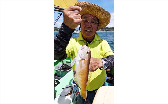 相模湾のLT（ライト）五目釣りで大型アジにシロアマダイなど多彩釣果！【まごうの丸】