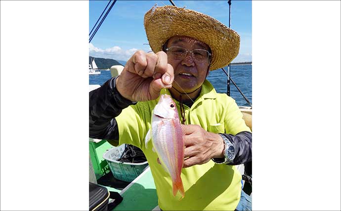 相模湾のLT（ライト）五目釣りで大型アジにシロアマダイなど多彩釣果！【まごうの丸】