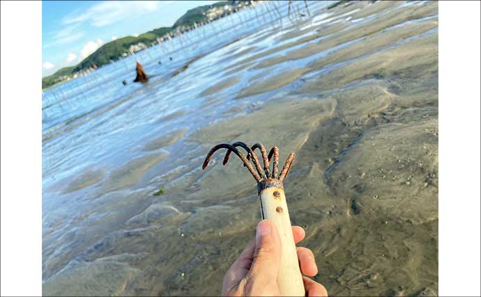 夏でも潮干狩りは楽しめる！　前島でハマグリ＆アサリを調査してみた【愛知】