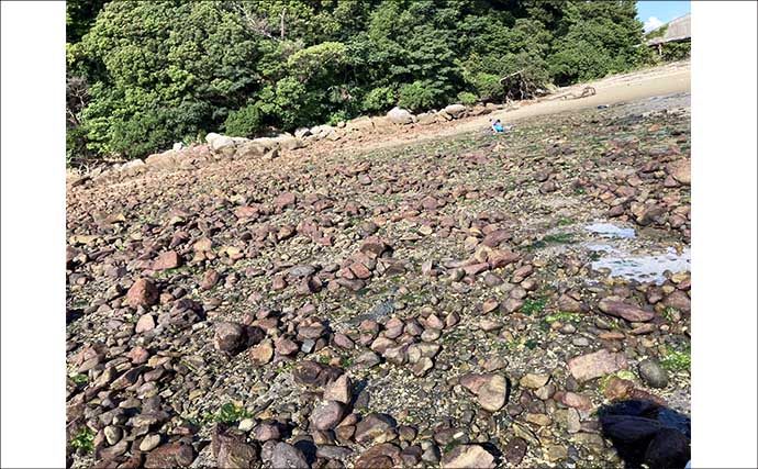 夏でも潮干狩りは楽しめる！　前島でハマグリ＆アサリを調査してみた【愛知】