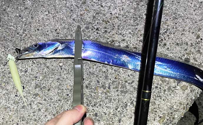 真夏の大阪湾沿岸ルアー釣りターゲット5選　カサゴ釣りながらタチウオ回遊待ちがオススメ？