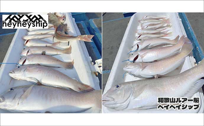 イカメタルでシロ（ケンサキ）イカ連発！ 関西エリアの【船釣り特選釣果7選】