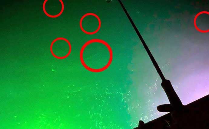夏だ！海老だ！「えびすき漁」だ！浜名湖伝統漁を体験　車エビも魚も大漁！【静岡】