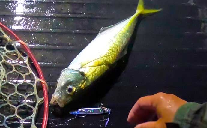 夏だ！海老だ！「えびすき漁」だ！浜名湖伝統漁を体験　車エビも魚も大漁！【静岡】
