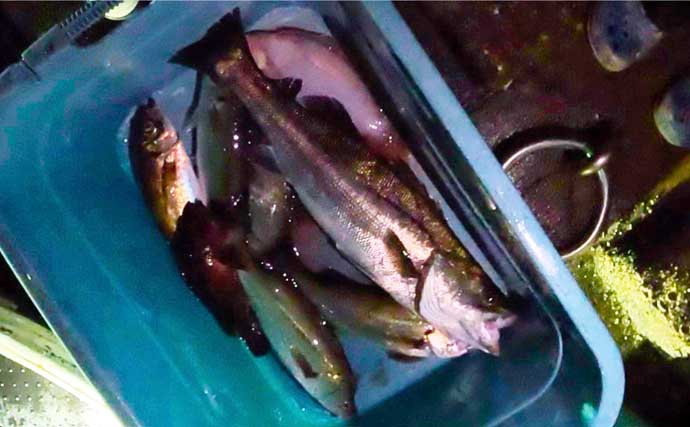 夏だ！海老だ！「えびすき漁」だ！浜名湖伝統漁を体験　車エビも魚も大漁！【静岡】
