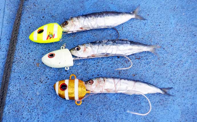 伊勢湾・夏のテンヤタチウオ釣り入門 【シーズン・タックル・仕掛け・釣り方を解説】